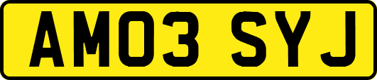 AM03SYJ