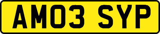 AM03SYP