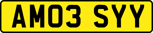 AM03SYY