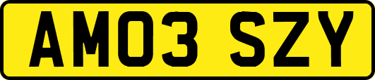 AM03SZY