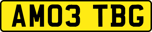 AM03TBG
