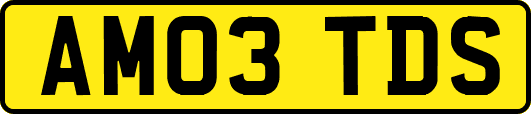 AM03TDS