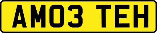 AM03TEH