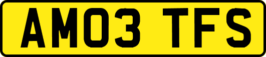 AM03TFS