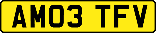 AM03TFV