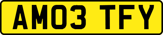 AM03TFY