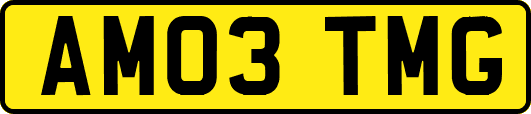 AM03TMG
