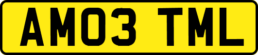 AM03TML