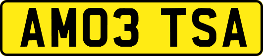 AM03TSA