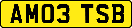 AM03TSB