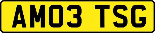 AM03TSG