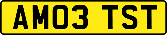 AM03TST