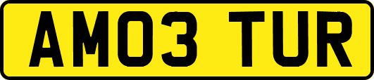 AM03TUR