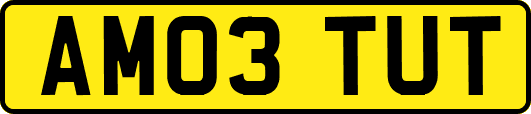 AM03TUT