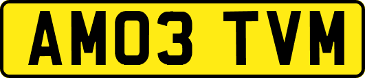 AM03TVM