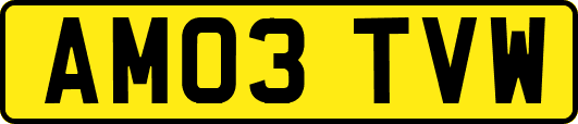 AM03TVW