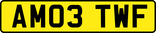 AM03TWF