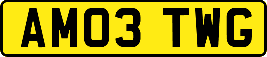 AM03TWG