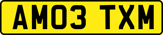 AM03TXM