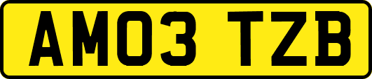 AM03TZB