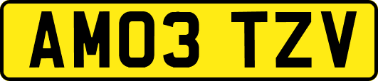 AM03TZV