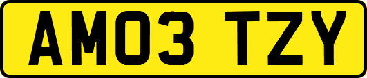 AM03TZY