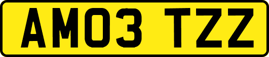 AM03TZZ