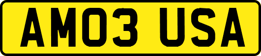 AM03USA