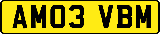 AM03VBM