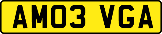 AM03VGA
