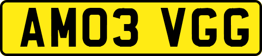 AM03VGG