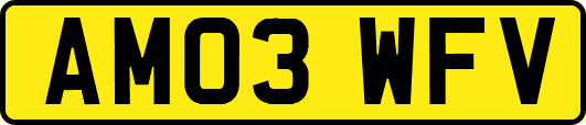 AM03WFV