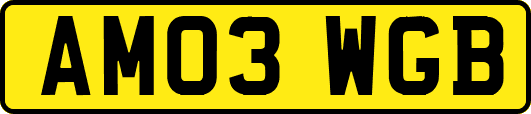 AM03WGB