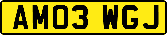 AM03WGJ