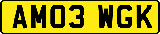 AM03WGK