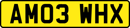 AM03WHX