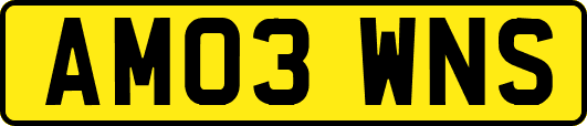 AM03WNS