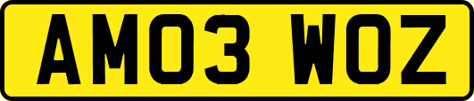 AM03WOZ