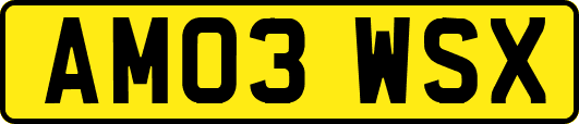 AM03WSX