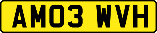 AM03WVH