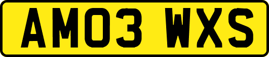 AM03WXS