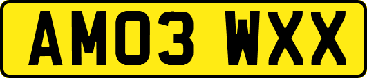 AM03WXX