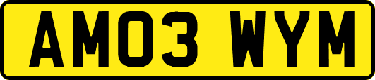AM03WYM