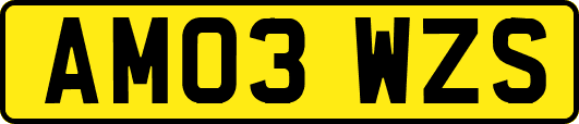 AM03WZS