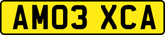 AM03XCA