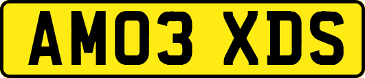 AM03XDS