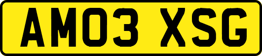 AM03XSG