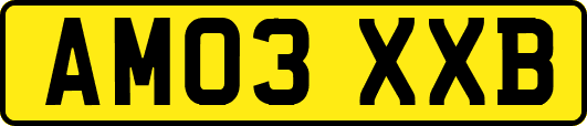AM03XXB