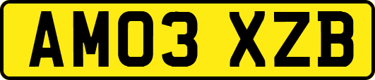 AM03XZB
