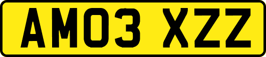AM03XZZ